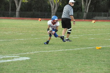 Enlarge photo 161
