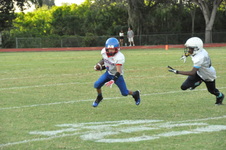Enlarge photo 164