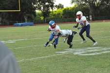 Enlarge photo 165