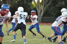 Enlarge photo 166