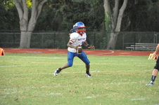 Enlarge photo 184