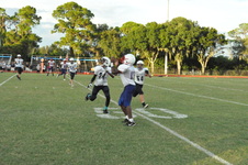 Enlarge photo 190