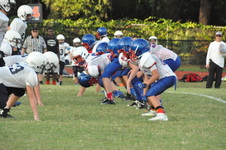 Enlarge photo 194