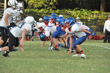 Enlarge photo 195