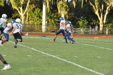 Enlarge photo 197