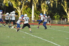 Enlarge photo 198