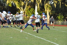 Enlarge photo 199