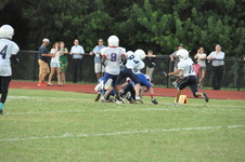 Enlarge photo 203