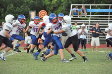 Enlarge photo 205