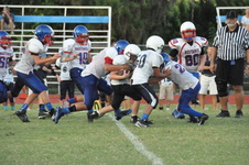 Enlarge photo 208