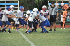 Enlarge photo 209