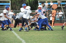 Enlarge photo 210