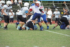 Enlarge photo 215