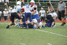 Enlarge photo 216