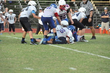 Enlarge photo 218