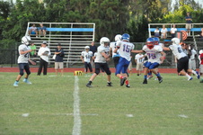 Enlarge photo 219