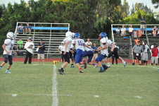 Enlarge photo 221