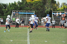 Enlarge photo 222