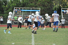 Enlarge photo 223