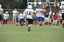 Enlarge photo 226