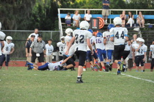 Enlarge photo 228