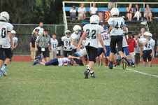 Enlarge photo 229