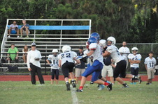 Enlarge photo 230