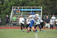 Enlarge photo 231