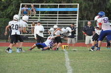 Enlarge photo 235