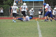 Enlarge photo 238