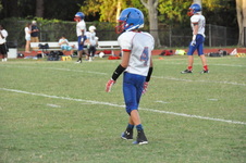 Enlarge photo 239