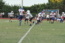 Enlarge photo 242