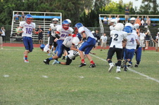 Enlarge photo 243
