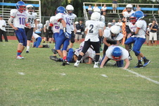 Enlarge photo 245