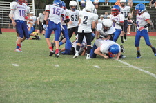Enlarge photo 246