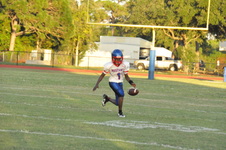 Enlarge photo 253