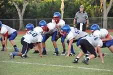 Enlarge photo 265