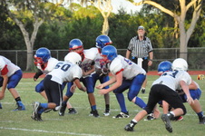 Enlarge photo 266
