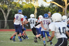 Enlarge photo 268