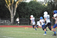 Enlarge photo 269