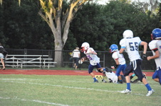 Enlarge photo 270