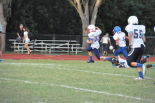 Enlarge photo 271