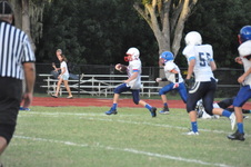 Enlarge photo 272