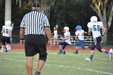 Enlarge photo 273