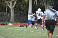 Enlarge photo 274