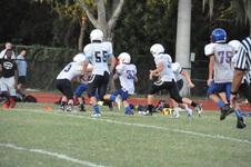 Enlarge photo 276