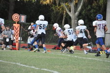 Enlarge photo 278