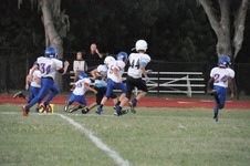 Enlarge photo 287