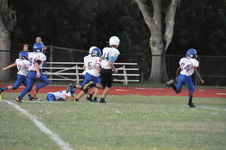 Enlarge photo 288