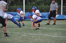 Enlarge photo 293